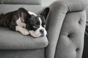 ChatGPT Image Mar 15, 2026, 04_59_18 PM