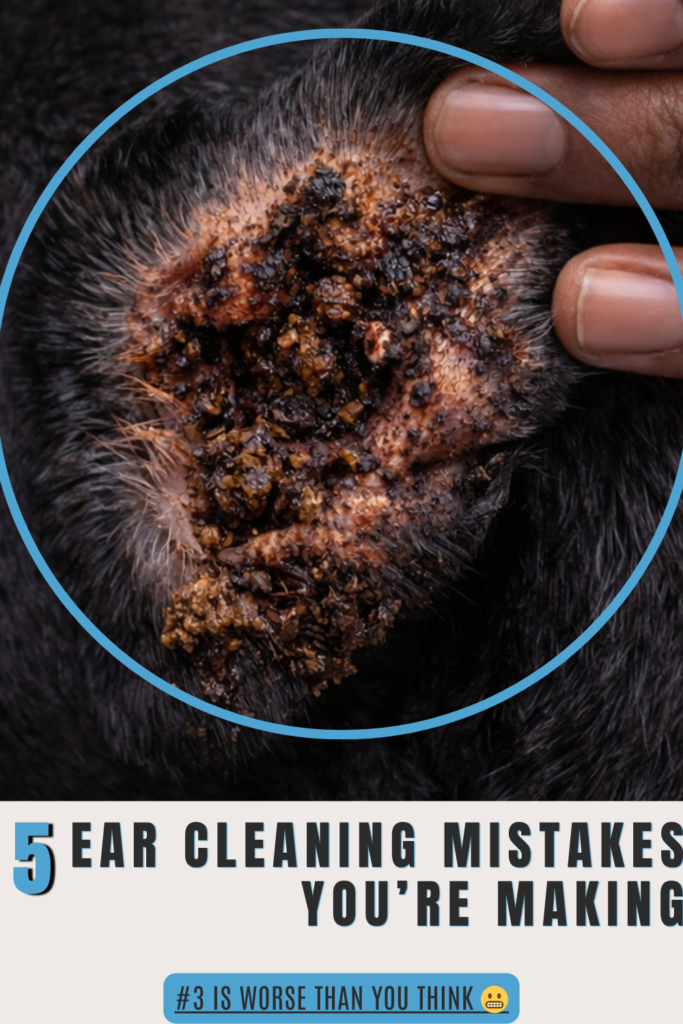how to clean your dog’s ears safely step by step guide